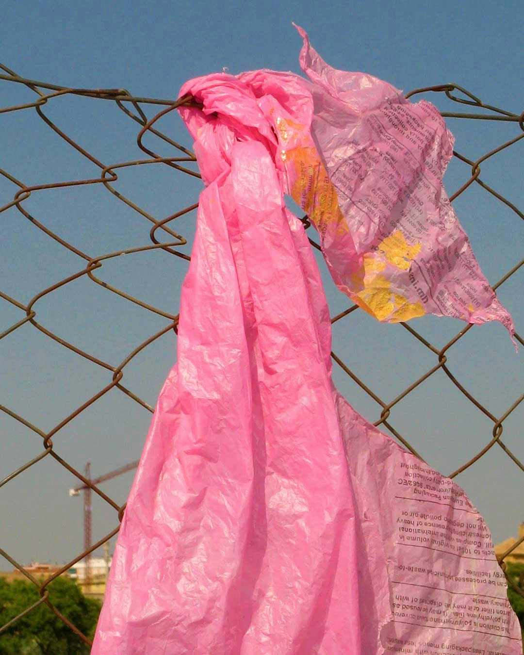 Plastic hanging from a paling